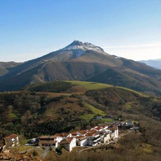 col ibardin